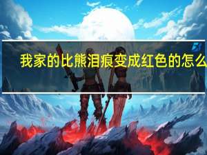 我家的比熊泪痕变成红色的怎么办