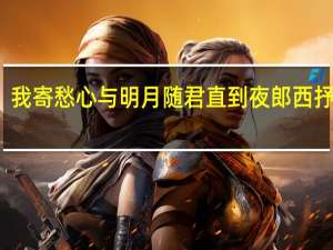 我寄愁心与明月随君直到夜郎西抒发了