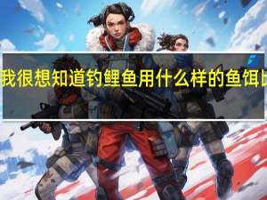 我很想知道钓鲤鱼用什么样的鱼饵比较好