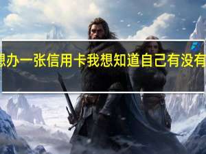 我想办一张信用卡我想知道自己有没有不良记录