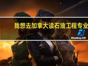 我想去加拿大读石油工程专业，那边的哪些学校这个专业是非常具有竞争力的呢