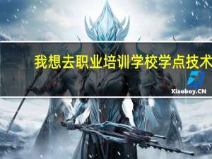 我想去职业培训学校学点技术，学什么好