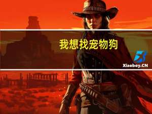 我想找宠物狗