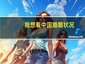 我想看中国婚姻状况