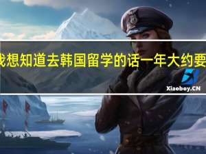 我想知道去韩国留学的话一年大约要多少钱