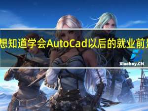 我想知道学会Auto Cad以后的就业前景怎么样