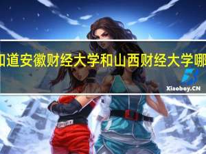 我想知道安徽财经大学和山西财经大学哪一个更好些