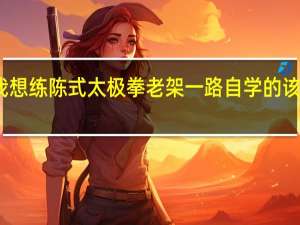我想练陈式太极拳老架一路 自学的该怎么练