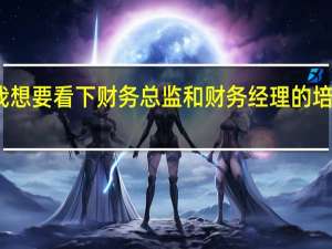 我想要看下财务总监和财务经理的培训内容，我现在还是财务经理，希望有所提升