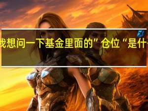 我想问一下基金里面的”仓位“是什么意思