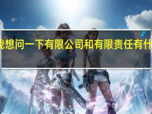 我想问一下有限公司和有限责任有什么区别