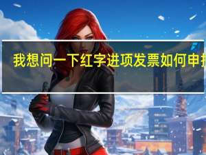 我想问一下红字进项发票如何申报表