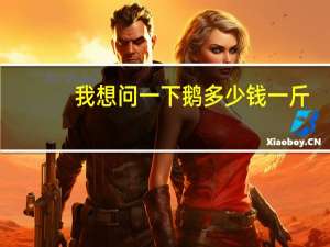 我想问一下鹅多少钱一斤