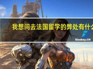 我想问去法国留学的弊处有什么