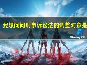 我想问问刑事诉讼法的调整对象是什么