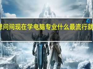 我想问问现在学电脑专业什么最流行就业面最大