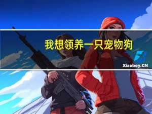 我想领养一只宠物狗