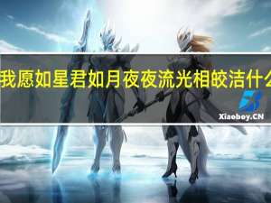 我愿如星君如月夜夜流光相皎洁什么意思