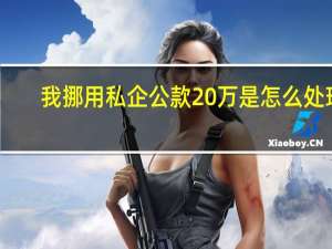 我挪用私企公款20万是怎么处理