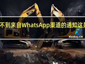 我收不到来自 WhatsApp 渠道的通知这是怎么回事