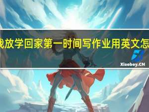 我放学回家第一时间写作业用英文怎么表达？