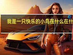 我是一只快乐的小鸟在什么在什么