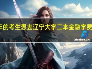 我是今年的考生 想去辽宁大学二本金融 学费和一本一样吗