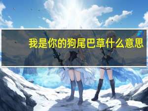 我是你的狗尾巴草什么意思（我是你的狗）