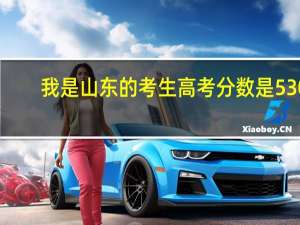 我是山东的考生高考分数是530，有哪些好的专科学校