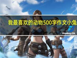 我最喜欢的动物500字作文小兔子（我最喜欢的动物500字）