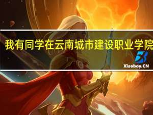 我有同学在云南城市建设职业学院读书，这个学校怎么样啊