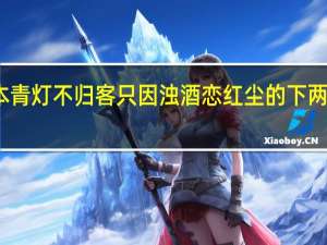 我本青灯不归客只因浊酒恋红尘的下两句是什么