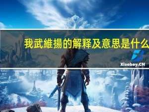 我武維揚的解释及意思是什么