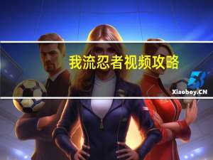 我流忍者视频攻略（我流忍者）