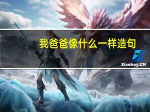 我爸爸像什么一样造句