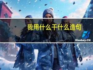 我用什么干什么造句