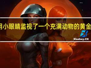 我用小眼睛监视了一个充满动物的黄金海岸豪宅