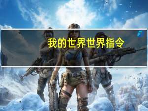 我的世界世界指令