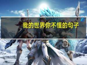 我的世界你不懂的句子