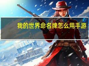 我的世界命名牌怎么用手游（我的世界命名牌怎么用）