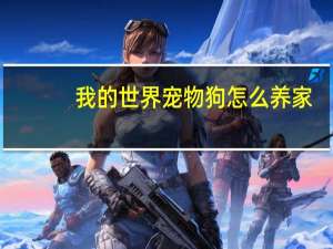 我的世界宠物狗怎么养家