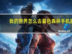 我的世界怎么去暮色森林手机版