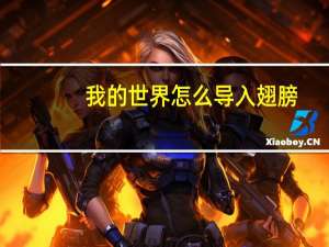 我的世界怎么导入翅膀