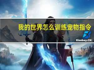 我的世界怎么训练宠物指令