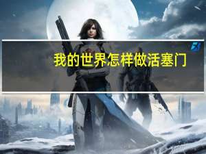 我的世界怎样做活塞门