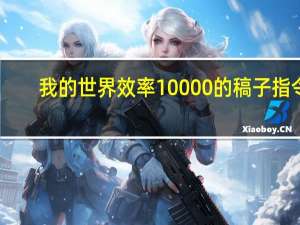 我的世界效率10000的稿子指令（我的世界效率1000稿子）