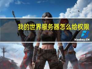 我的世界服务器怎么给权限
