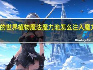 我的世界植物魔法魔力池怎么注入魔力发射器（我的世界植物魔法魔力池怎么注入魔力）