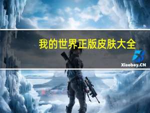我的世界正版皮肤大全（我的世界正版皮肤）