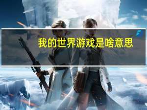 我的世界游戏是啥意思